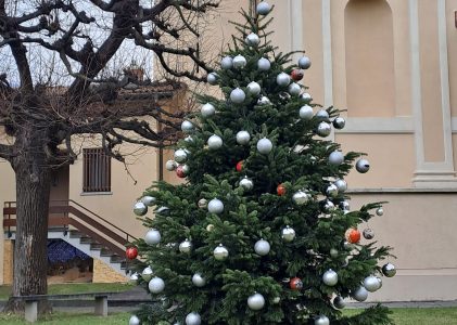 Accensione albero di Natale